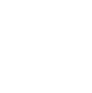 Icona Sicurezza Bianco