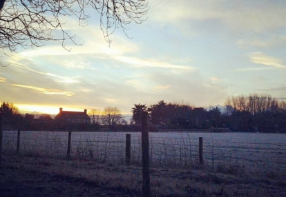 Die frostigen Morgen in der Ivory-Egg-Zentrale haben ein Ende.