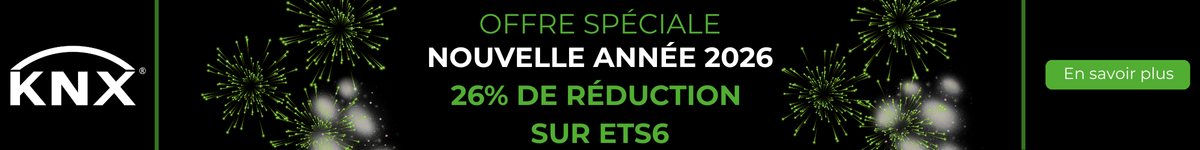 New Year 2026 Sales Action - French