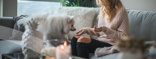 Your Smart Home - Today and tomorrow