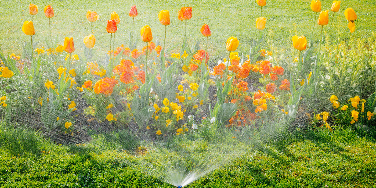 Scoprite i vantaggi di un sistema di irrigazione automatica del giardino