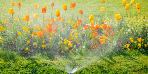 Descubra las ventajas de un sistema de riego automático del jardín