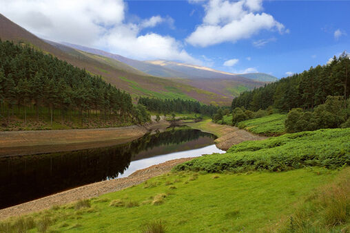 Temporizadores KNX: ayudan a mitigar los efectos del cambio climático y mucho más
