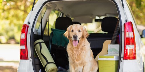 Energiemanagement: waarom thuis opladen met KNX goed is voor de planeet én je portemonnee