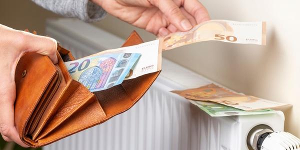 The Customer Energy Management System: a tool to regain control over energy costs