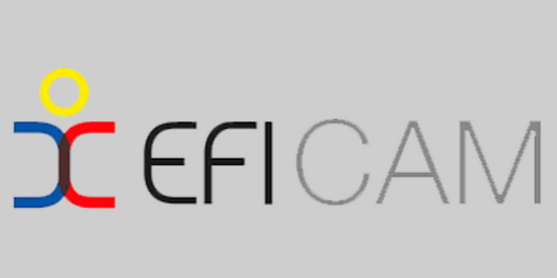 EFICAM 2020